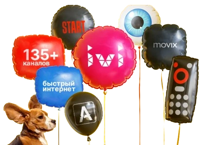 Услуги Дом.ру в Засечном